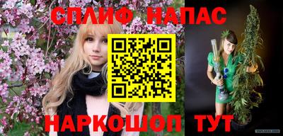 спиды Славгород